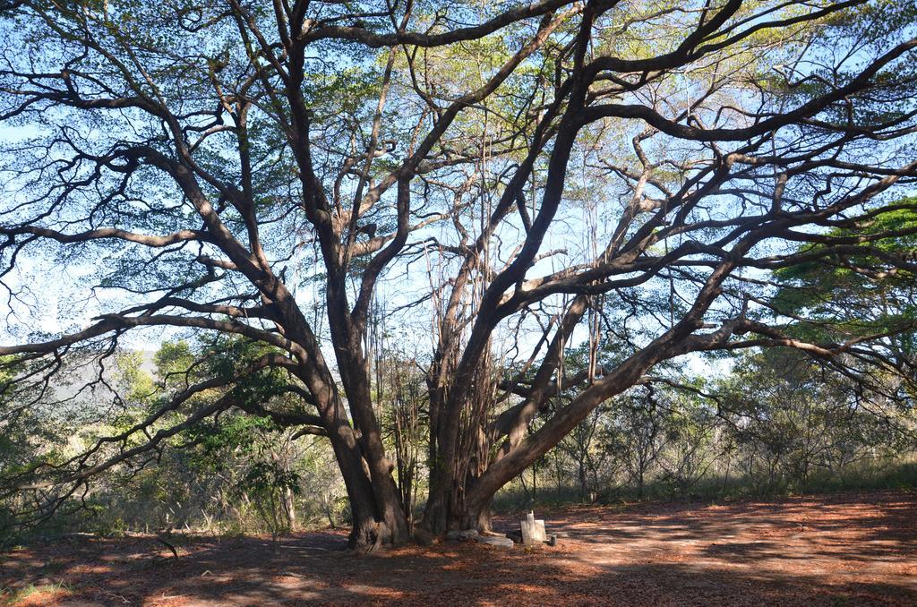Pousada Terras Do Poente Вали-ду-Капан Экстерьер фото